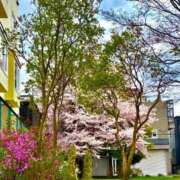 ヒメ日記 2025/05/18 10:06 投稿 みお【新人割引期間中】 クリスタル