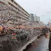 ヒメ日記 2025/03/31 22:23 投稿 あんな CLUB MECCA（クラブメッカ）