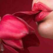 ヒメ日記 2025/12/14 22:57 投稿 ゆめ挑発的style 俺のジュニア