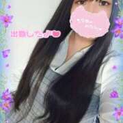 ヒメ日記 2025/01/26 17:32 投稿 はる 浜松駅前ちゃんこ