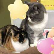 ヒメ日記 2025/02/22 20:03 投稿 はる 浜松駅前ちゃんこ