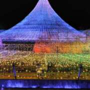 ヒメ日記 2025/03/08 15:22 投稿 はる 浜松駅前ちゃんこ