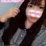 ヒメ日記 2025/03/29 17:31 投稿 はる 浜松駅前ちゃんこ