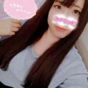 ヒメ日記 2025/04/08 22:04 投稿 はる 浜松駅前ちゃんこ