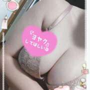 ヒメ日記 2025/04/09 13:00 投稿 はる 浜松駅前ちゃんこ