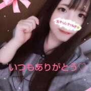 ヒメ日記 2025/04/28 17:32 投稿 はる 浜松駅前ちゃんこ