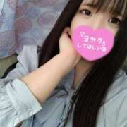 ヒメ日記 2025/04/29 17:33 投稿 はる 浜松駅前ちゃんこ