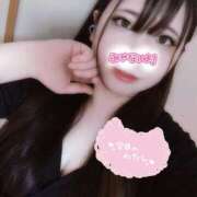 ヒメ日記 2025/06/11 18:02 投稿 はる 浜松駅前ちゃんこ