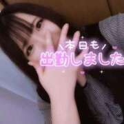 ヒメ日記 2025/06/14 17:33 投稿 はる 浜松駅前ちゃんこ