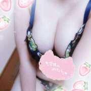 ヒメ日記 2025/06/27 15:20 投稿 はる 浜松駅前ちゃんこ