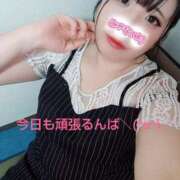 ヒメ日記 2025/07/07 17:49 投稿 はる 浜松駅前ちゃんこ