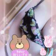 ヒメ日記 2025/07/08 15:07 投稿 はる 浜松駅前ちゃんこ