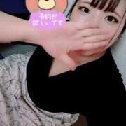 ヒメ日記 2025/07/28 17:30 投稿 はる 浜松駅前ちゃんこ