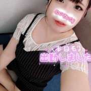 ヒメ日記 2025/07/29 17:31 投稿 はる 浜松駅前ちゃんこ