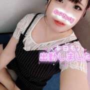 ヒメ日記 2025/07/29 17:49 投稿 はる 浜松駅前ちゃんこ