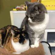 ヒメ日記 2025/08/01 19:32 投稿 はる 浜松駅前ちゃんこ