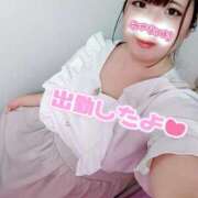 ヒメ日記 2025/08/08 17:31 投稿 はる 浜松駅前ちゃんこ