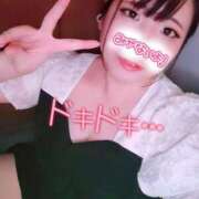 ヒメ日記 2025/08/09 17:31 投稿 はる 浜松駅前ちゃんこ