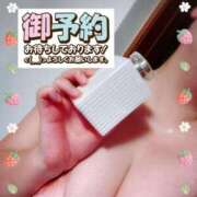 ヒメ日記 2025/08/28 20:11 投稿 はる 浜松駅前ちゃんこ