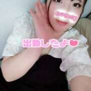 ヒメ日記 2025/08/29 17:34 投稿 はる 浜松駅前ちゃんこ