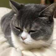 ヒメ日記 2025/09/01 19:30 投稿 はる 浜松駅前ちゃんこ