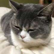 ヒメ日記 2025/09/01 19:49 投稿 はる 浜松駅前ちゃんこ