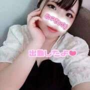 ヒメ日記 2025/09/12 17:32 投稿 はる 浜松駅前ちゃんこ