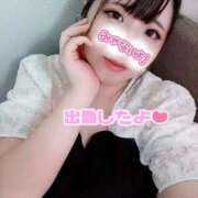 ヒメ日記 2025/09/12 17:42 投稿 はる 浜松駅前ちゃんこ