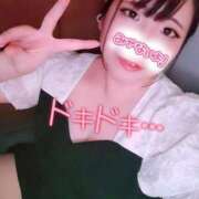 ヒメ日記 2025/09/27 14:09 投稿 はる 浜松駅前ちゃんこ