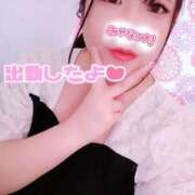 ヒメ日記 2025/10/03 17:33 投稿 はる 浜松駅前ちゃんこ