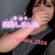 ヒメ日記 2025/10/11 17:49 投稿 はる 浜松駅前ちゃんこ