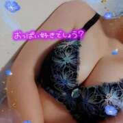 ヒメ日記 2025/10/12 15:10 投稿 はる 浜松駅前ちゃんこ