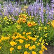 ヒメ日記 2025/10/14 10:01 投稿 はる 浜松駅前ちゃんこ