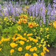 ヒメ日記 2025/10/14 10:09 投稿 はる 浜松駅前ちゃんこ