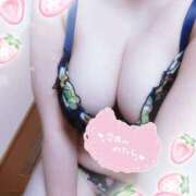 ヒメ日記 2025/10/19 18:20 投稿 はる 浜松駅前ちゃんこ