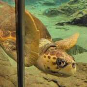 ヒメ日記 2025/10/25 19:18 投稿 はる 浜松駅前ちゃんこ