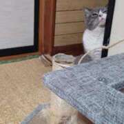 ヒメ日記 2025/10/31 15:17 投稿 はる 浜松駅前ちゃんこ