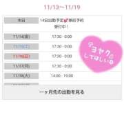 ヒメ日記 2025/11/13 21:39 投稿 はる 浜松駅前ちゃんこ