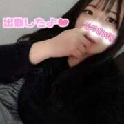 ヒメ日記 2025/11/14 17:31 投稿 はる 浜松駅前ちゃんこ