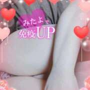 ヒメ日記 2025/11/17 12:49 投稿 はる 浜松駅前ちゃんこ