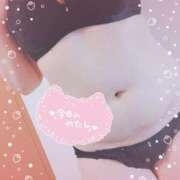 ヒメ日記 2025/11/21 12:31 投稿 はる 浜松駅前ちゃんこ