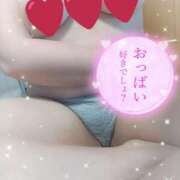 ヒメ日記 2025/12/01 12:30 投稿 はる 浜松駅前ちゃんこ