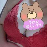 ヒメ日記 2025/12/14 12:02 投稿 はる 浜松駅前ちゃんこ