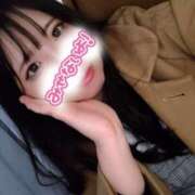 ヒメ日記 2025/12/20 13:31 投稿 はる 浜松駅前ちゃんこ