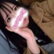 ヒメ日記 2025/12/20 13:39 投稿 はる 浜松駅前ちゃんこ