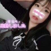 ヒメ日記 2026/01/19 17:31 投稿 はる 浜松駅前ちゃんこ