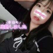 ヒメ日記 2026/01/19 17:39 投稿 はる 浜松駅前ちゃんこ