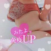 ヒメ日記 2026/02/01 14:00 投稿 はる 浜松駅前ちゃんこ