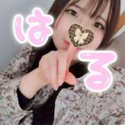 ヒメ日記 2026/02/14 17:32 投稿 はる 浜松駅前ちゃんこ