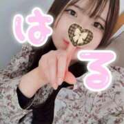 ヒメ日記 2026/02/14 17:39 投稿 はる 浜松駅前ちゃんこ